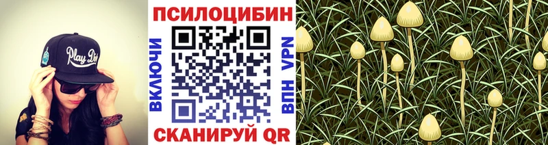 Галлюциногенные грибы MAGIC MUSHROOMS  наркотики  Набережные Челны 